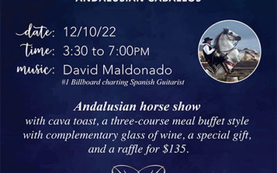 Andalusian Horse Show – Fiesta de Navidad con nuestros Andalusian Caballos
