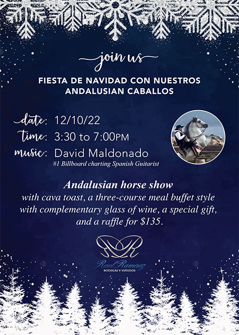Andalusian Horse Show – Fiesta de Navidad con nuestros Andalusian Caballos
