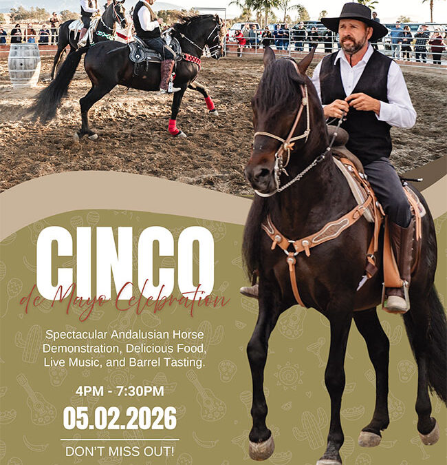 Cinco de Mayo Celebration